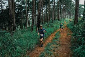 BIB: 
                            <button type="button" onclick="openModal(25657919)" class="btn btn-primary btn-sm float-right btn-popup" data-toggle="modal" data-target=".modal-high-quality">
                        <i class="fas fa-shopping-cart"></i> Add to Cart
                    </button>
                                            <button type="button" onclick="isThisMe(25657919, true)" class="btn btn-success btn-sm float-right btn-popup btn-isme hidden" data-toggle="tooltip" data-placement="bottom" title="นี่คือรูปของคุณใช่ไหม คลิกที่นี่เพื่อเอาเข้าอัลบั้ม">
                        <i class="fas fa-plus"></i> Add to album
                    </button>
                    <button type="button" onclick="isThisMe(25657919, false)" class="btn btn-warning btn-sm float-right btn-popup btn-isnotme hidden">
                        <i class="fas fa-ban"></i> Remove from album
                    </button>